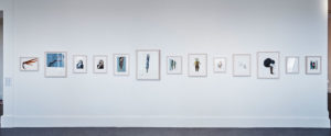 IMMA Collection: “Then and Now, Janet Mullarney”, Irish Museum of Modern Art, Dublin, Ireland – February/September